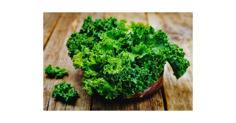 Top Kale Recipes Salad – Fresh & Delicious Ideas